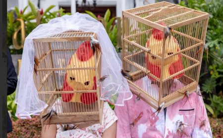 Bisnis Perhotelan Mewah Diminta Terapkan Kebijakan Telur Bebas Sangkar