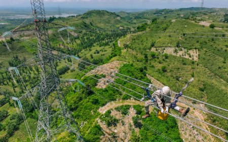 Tembus Fortune Global 500, PLN Terus Perkuat Daya Saing di Kancah Dunia