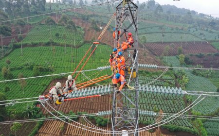 Peningkatan Pendapatan Dorong PLN Masuk Fortune Global 500
