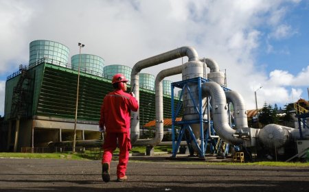 PLN Cetak Sejarah! Masuk Daftar Fortune Global 500 Berkat Lompatan Pendapatan Beyond kWh