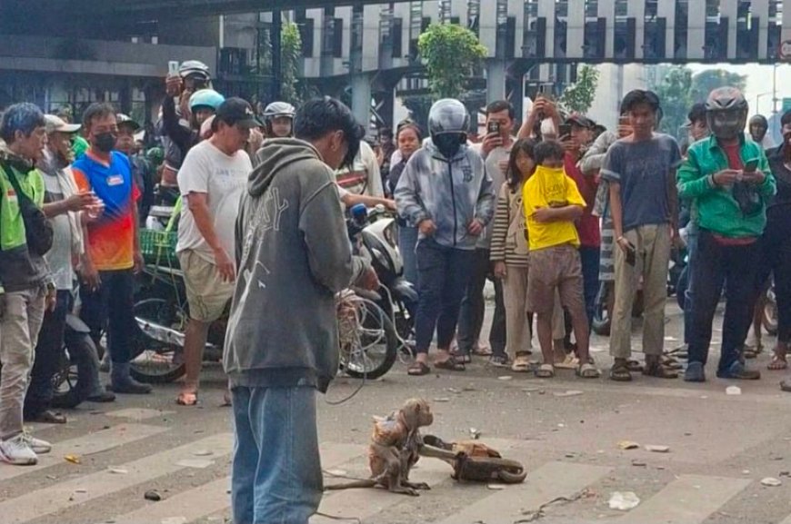 Viral! Pertunjukan Topeng Monyet di Tengah Aksi Demonstrasi
