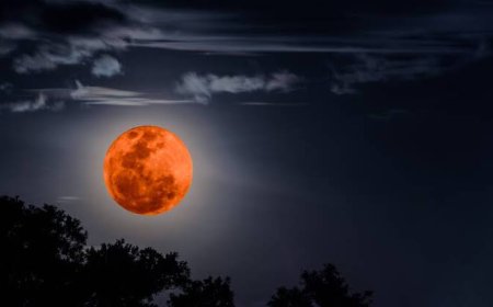 Langit September 2025 Spektakuler: Saksikan Blood Moon, Harvest Moon hingga Hujan Meteor!