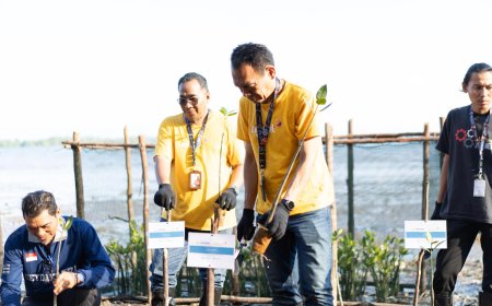 Linknet Tanam 7.500 Mangrove di Dompak, Seimbangkan Infrastruktur Digital dengan Kelestarian Alam