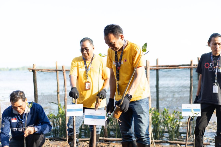 Linknet Tanam 7.500 Mangrove di Dompak, Seimbangkan Infrastruktur Digital dengan Kelestarian Alam