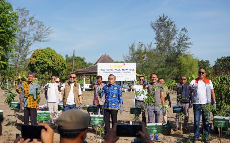 Cegah Abrasi dan Banjir Rob, Linknet Tanam 8.000 Pohon di Jawa Lewat Program New Home-Pass, New Tree