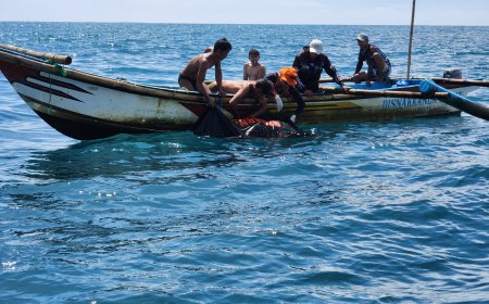 Tim SAR Gabungan Temukan Korban yang Terjatuh di Pantai Cipatujah