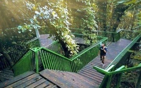 Wisata Gratis di Bandung yang Wajib Dikunjungi! Cocok untuk Liburan Keluarga Hemat tapi Berkualitas