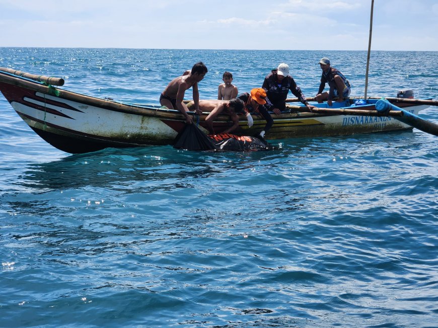 Tim SAR Gabungan Temukan Korban yang Terjatuh di Pantai Cipatujah