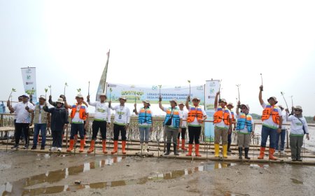 PLN UIP JBT Tanam Ribuan Bibit Mangrove dan Pohon Produktif di Dua Provinsi