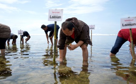 Telkomsel Ajak Pelanggan Jadi Pahlawan Lingkungan, Ribuan Poin Diubah Jadi Penyelamat Laut Indonesia
