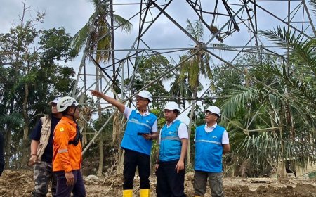 PLN Terus Kebut Perbaiki Jalur Listrik Langsa-Pangkalan Brandan, Penopang Pemulihan Kelistrikan Aceh