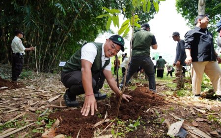 Dari Ucapan Selamat ke Aksi Nyata, SEI Ajak Stakeholder Tanam Seribu Pohon