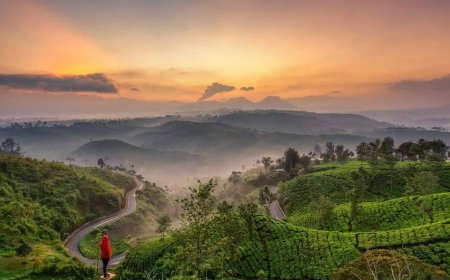 Viral! Sunrise Point Cukul Pangalengan Disebut Negeri di Atas Awan, Ini Daya Tariknya
