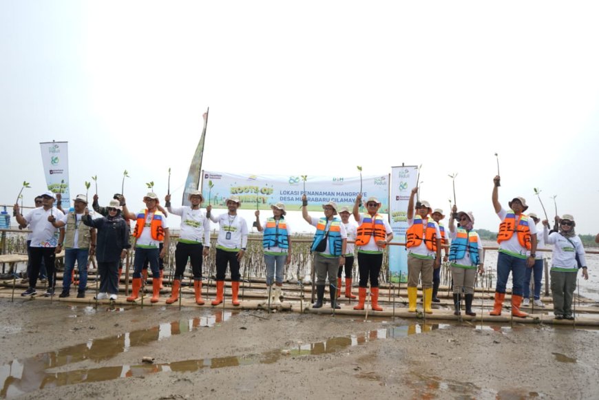 PLN UIP JBT Tanam Ribuan Bibit Mangrove dan Pohon Produktif di Dua Provinsi