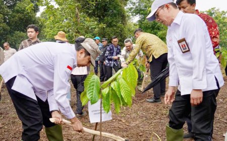 Kakao Jadi Komoditas Strategis Jabar, OJK Siapkan Skema Pembiayaan Hijau hingga Rp175 Juta per Hektare