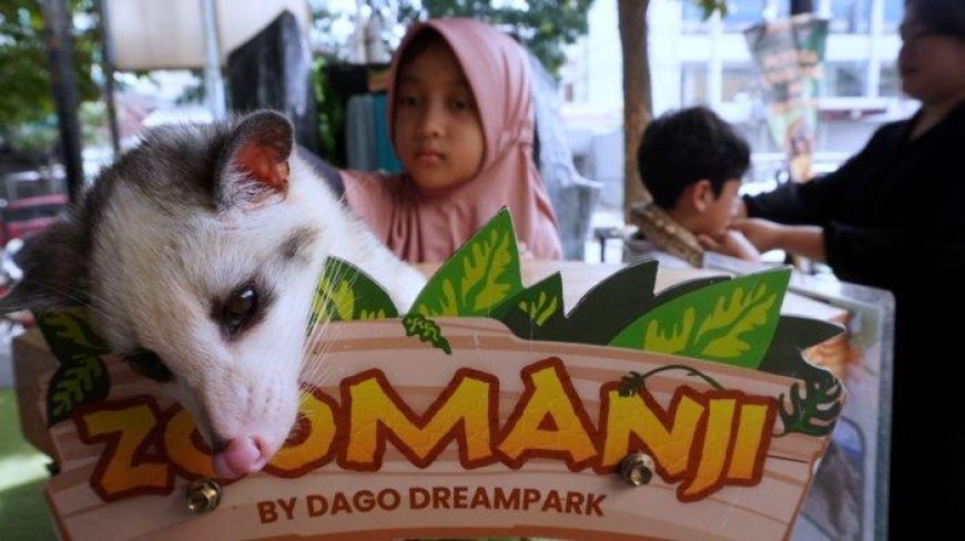 Bandung Zoo Tutup Sementara, Ini 8 Alternatif Wisata Binatang Edukatif Favorit Keluarga di Bandung