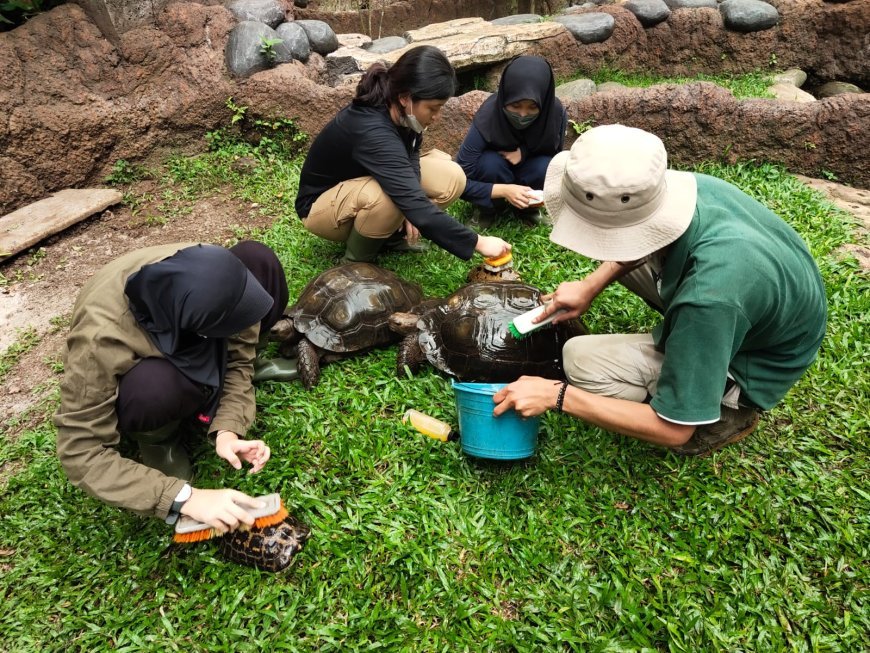 Serikat Pekerja Bandung Zoo Apresiasi Skema Walikota Bandung, Ada Titik Terang di Tengah Konflik Panjang