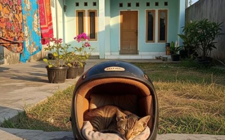 Helm Bekas Jangan Dibuang! 12 Ide Kreatif Ini Bisa Disulap Jadi Cuan dan Dekorasi Unik