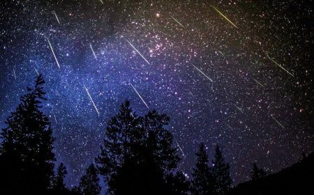 Hujan Meteor Lyrids 2026 Capai Puncak Malam Ini, Ini Cara Terbaik Menyaksikannya