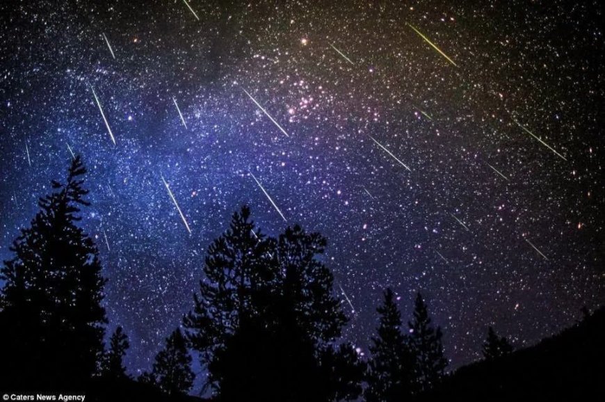Hujan Meteor Lyrids 2026 Capai Puncak Malam Ini, Ini Cara Terbaik Menyaksikannya