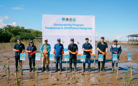 Komitmen Hijau ACC! 5.000 Mangrove Ditanam di Kalimantan Barat demi Selamatkan Pesisir