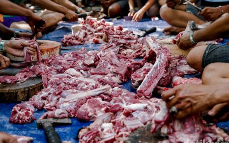 Daging Kurban Jangan Asal Disimpan! Begini Cara Tepat Agar Tetap Segar dan Tidak Bau saat Idul Adha 2026