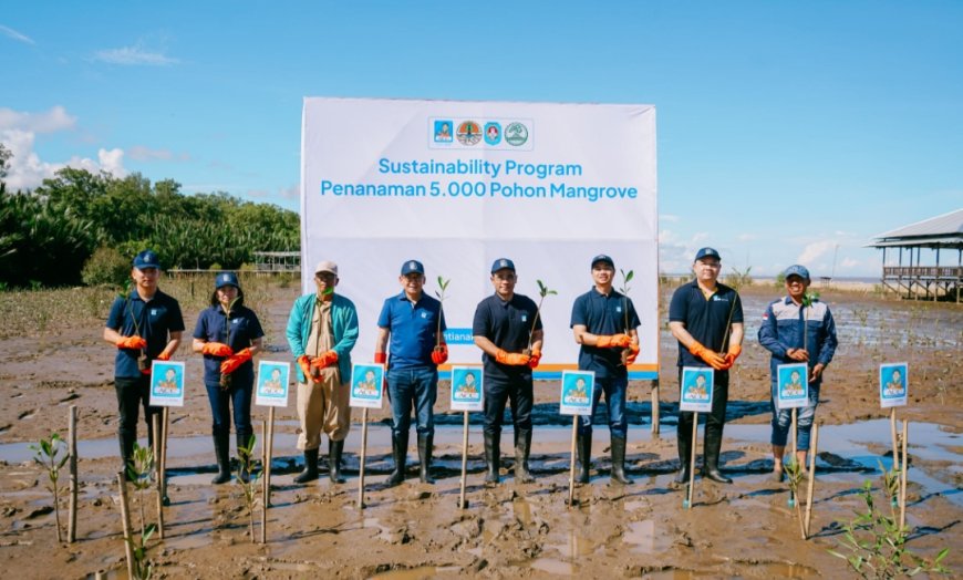 Komitmen Hijau ACC! 5.000 Mangrove Ditanam di Kalimantan Barat demi Selamatkan Pesisir
