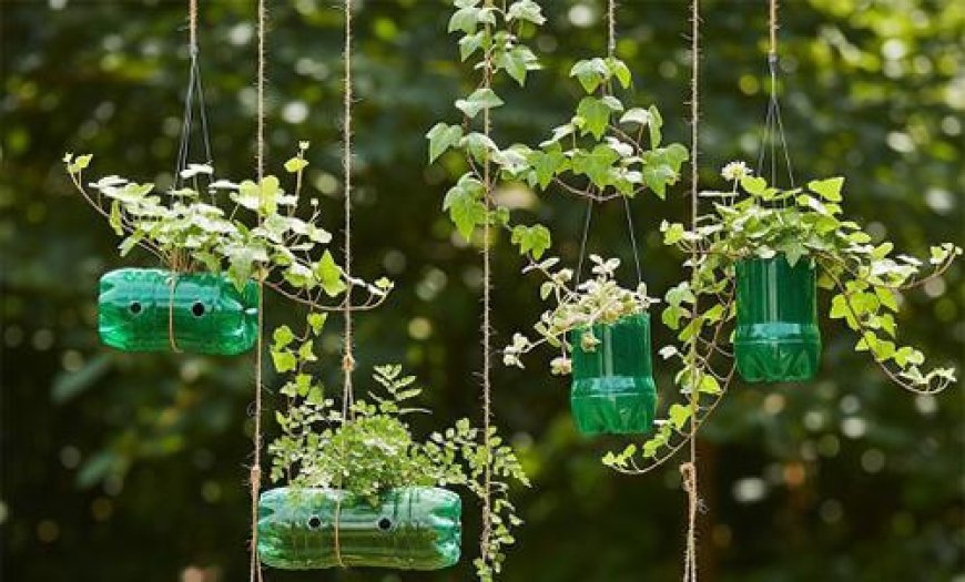 Sulap Botol Bekas Jadi Kebun Mini, Tren Urban Farming Murah Ini Ramai Dicoba