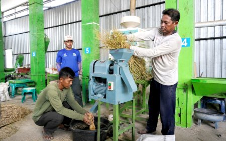 Electrifying Agriculture Dongkrak Produktivitas Petani dan Ekonomi Desa