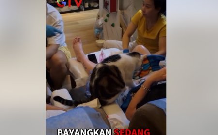 Spa Hong Kong Hadirkan Cat Massage Pertama di Dunia