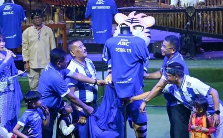 Mariano Peralta Perkuat Lini Depan Persib, Duet dengan Luka Menalo Jadi Sorotan