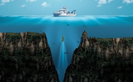 Robot Bawah Laut Ungkap 60 Juta Sarang Ikan di Antartika