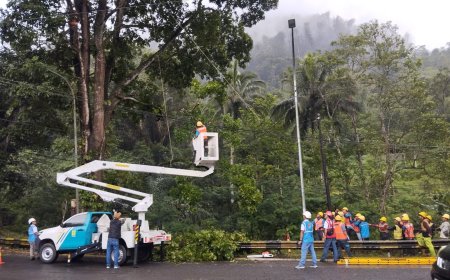 GM PLN UID Jawa Barat Raih Energy Executive Award 2026 Berkat Transformasi Layanan Pelanggan