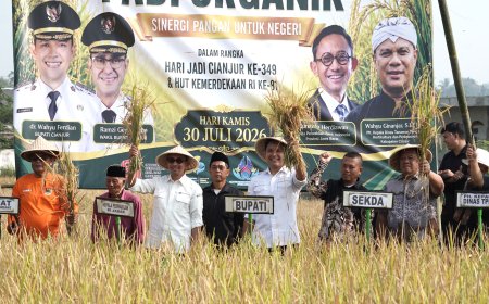 Bank Indonesia Jabar Dongkrak Produktivitas Padi Organik Cianjur