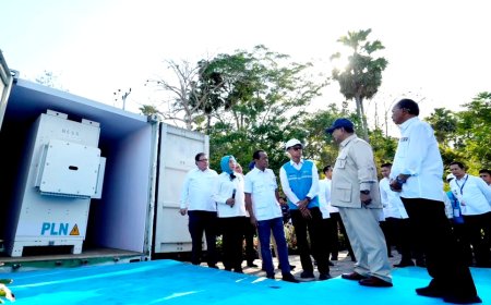 Prabowo Luncurkan PLTS 100 GWp, PLN Targetkan Swasembada Energi Nasional