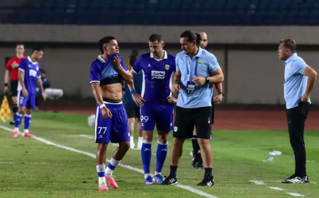 Jadwal FC Seoul vs Persib di ACL Two, Maung Bandung Buru Poin di Korea Selatan