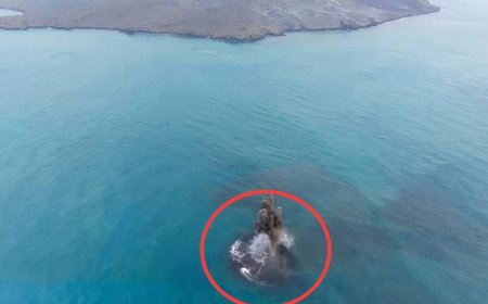 Daratan Baru 30,3 Hektare Muncul Dekat Anak Krakatau, Ini Penyebabnya