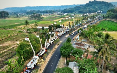 PLN Jabar Cetak Rekor MURI, 222 Teknisi Rawat 304 Titik Jaringan Tanpa Padam