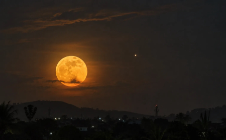 Harvest Moon, Ini Asal Usulnya