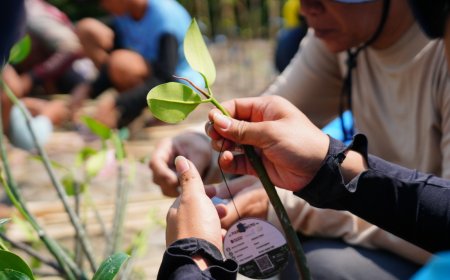 Bio Farma Dorong Konservasi Mangrove Berbasis Teknologi