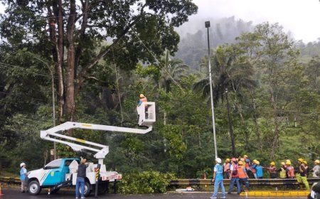 Program Light Up the Dream PLN Jabar Harus Dorong Produktivitas Ekonomi Warga