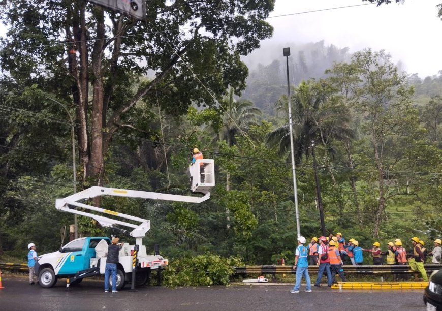 Program Light Up the Dream PLN Jabar Harus Dorong Produktivitas Ekonomi Warga